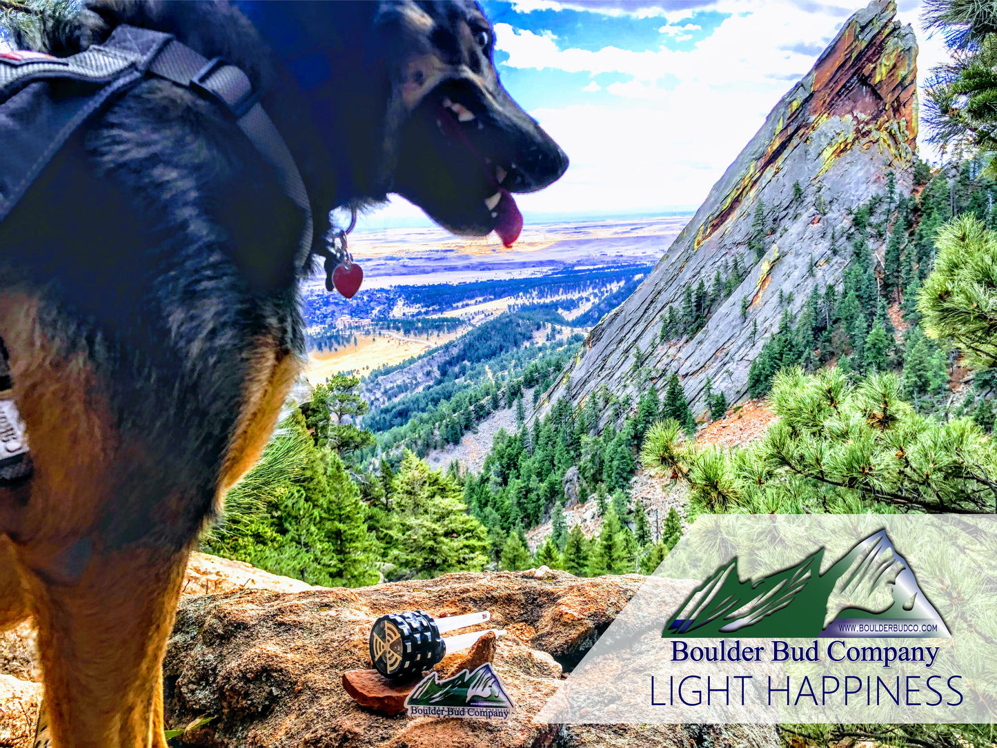 HAND HERB GRINDER (Silver)